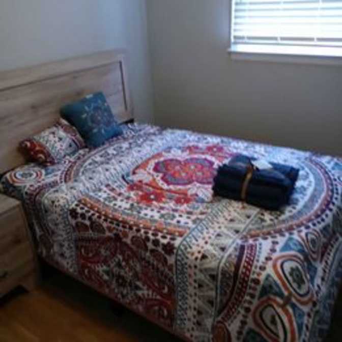 Ragheb Omar's room