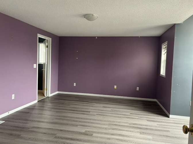 Saba Eskandary's room