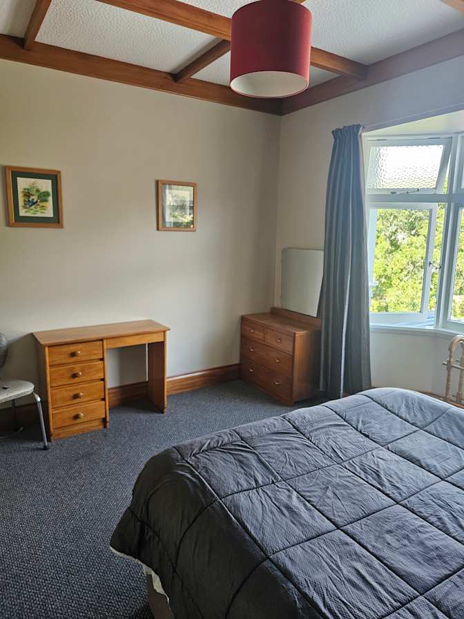 Shane Stevenson's room