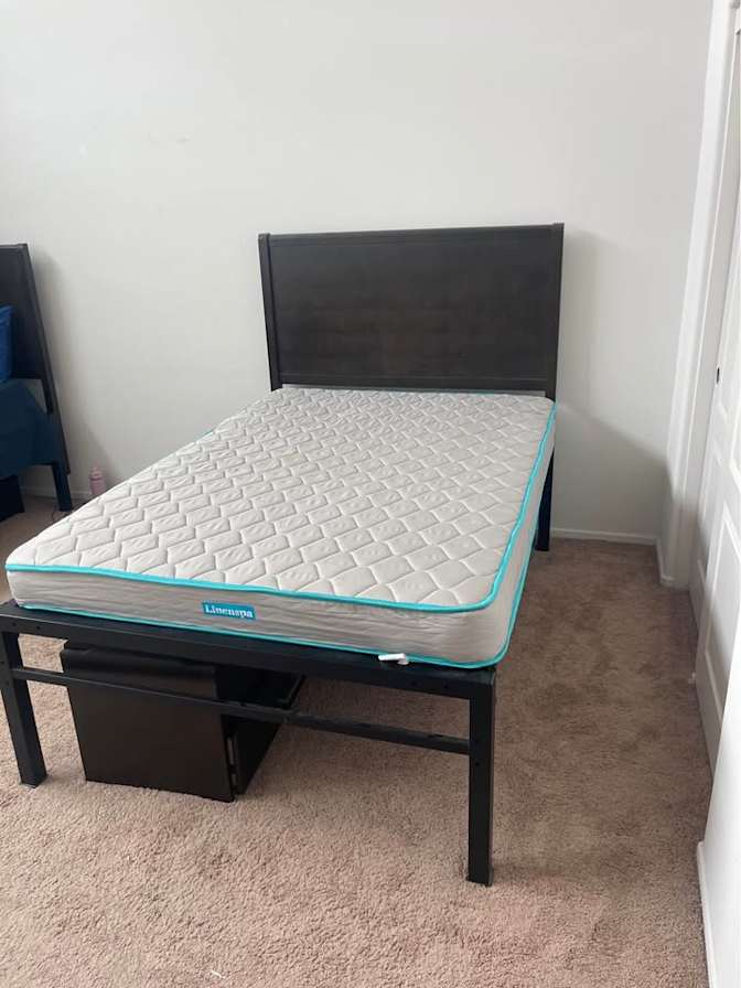 Vanessa's room