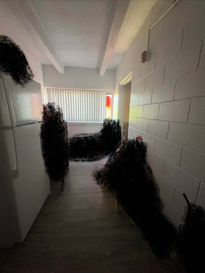 Chiquita's room