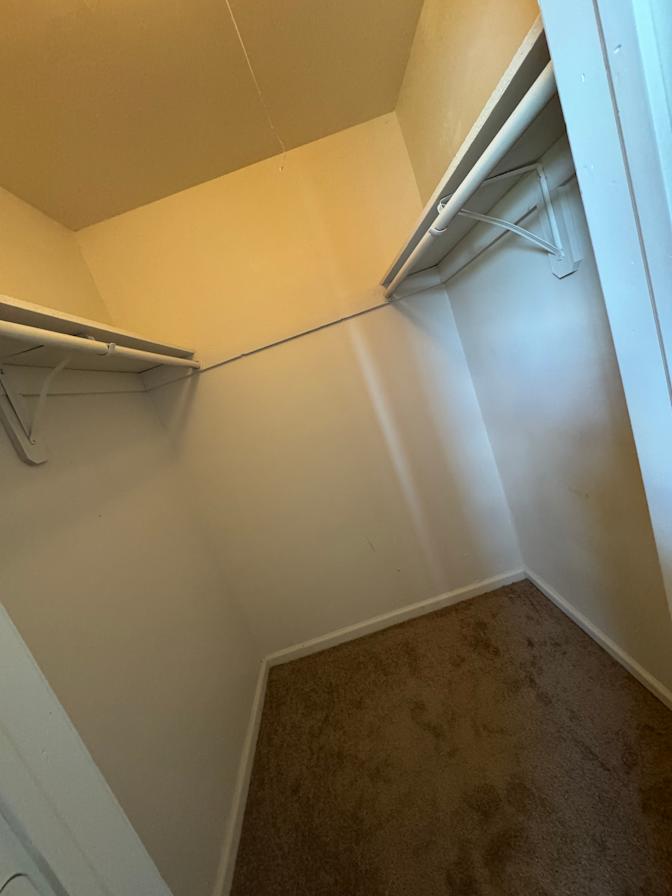 Steph's room