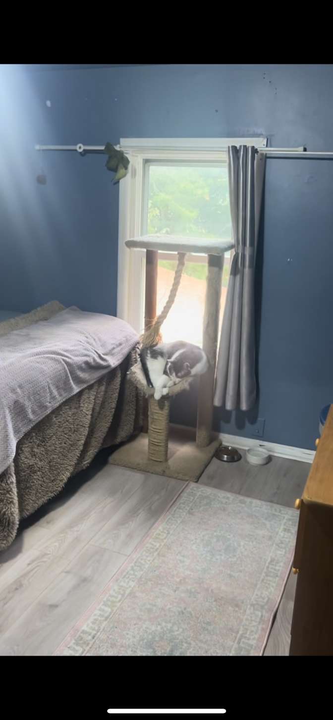zainab's room