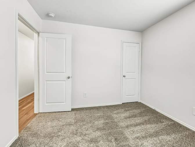 Shawn's room