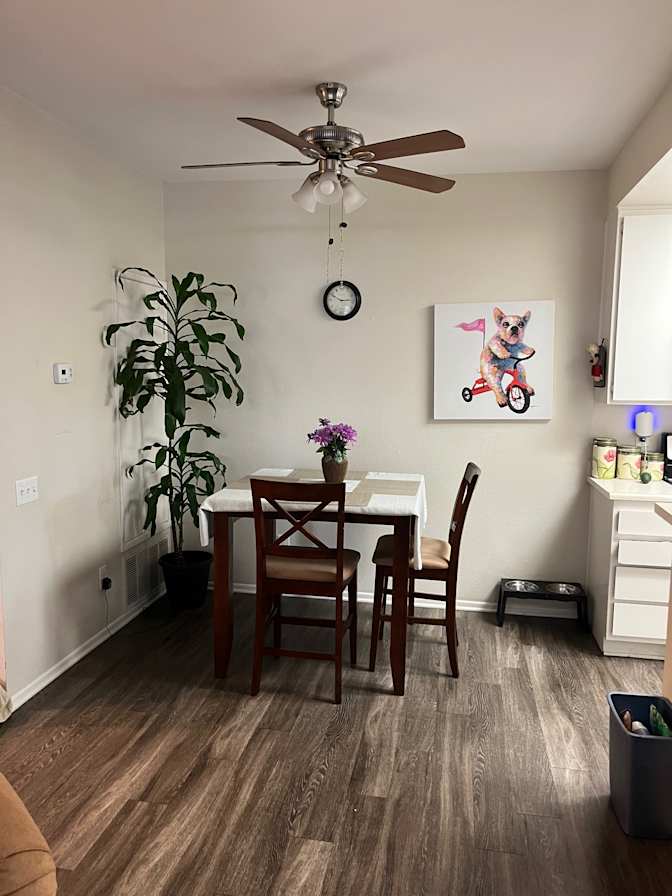 Susan  Hannon's room