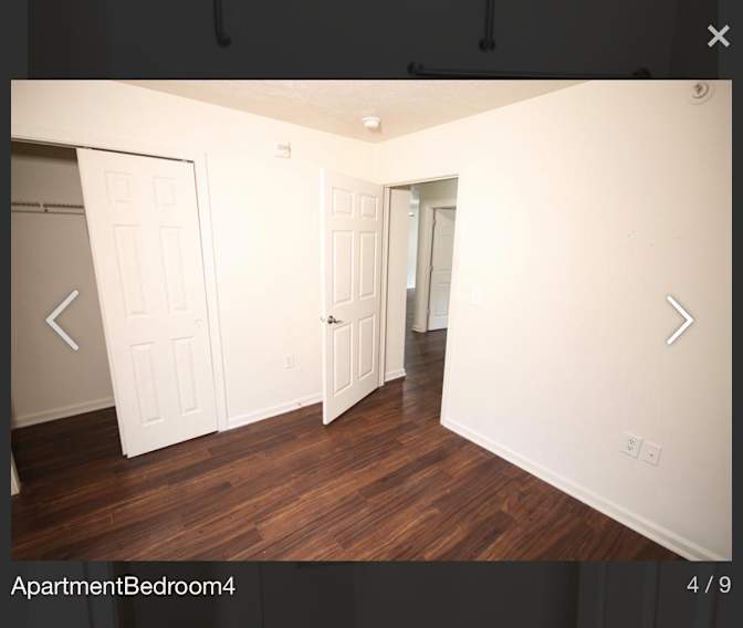 Harp's room