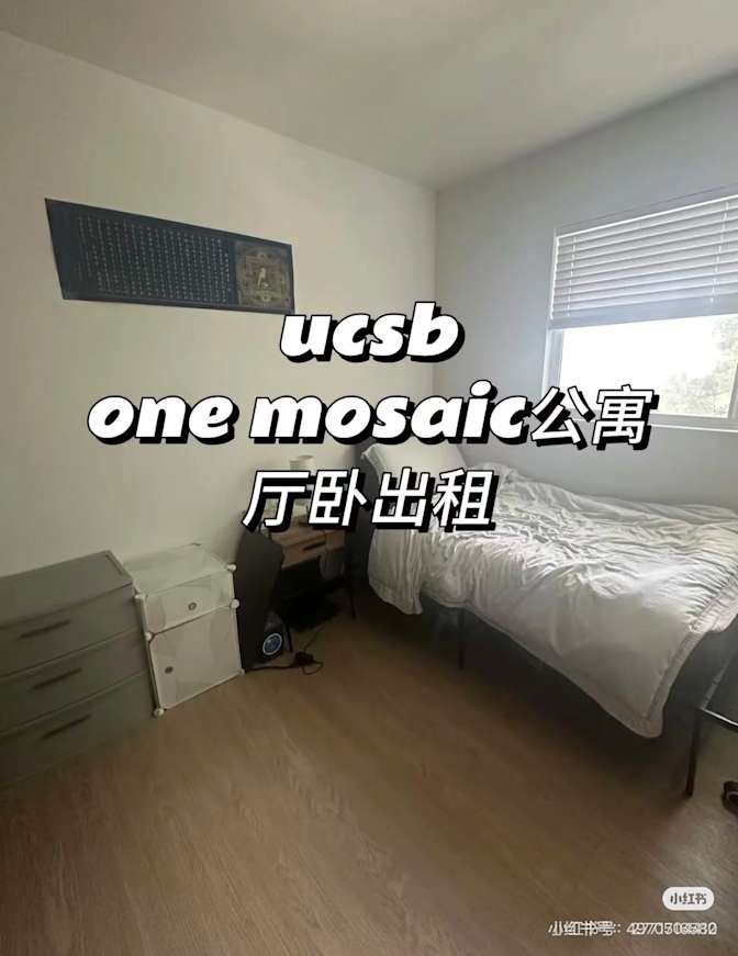 Viola Wang's room