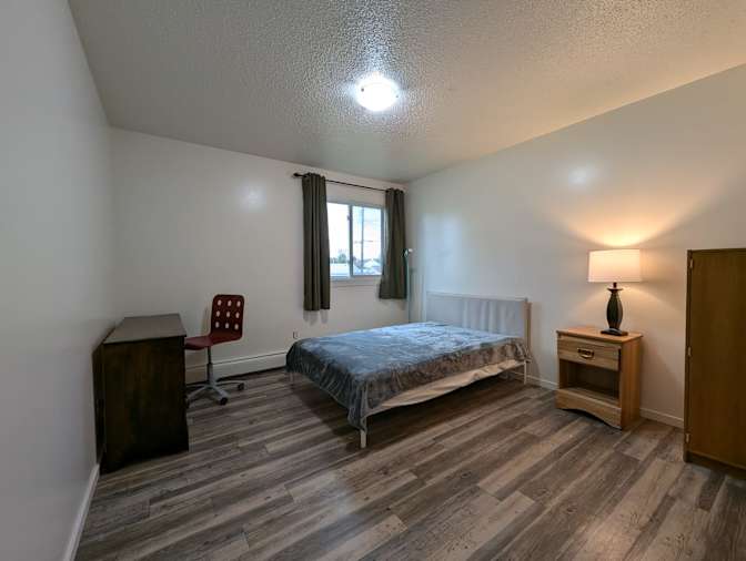 Todd's room