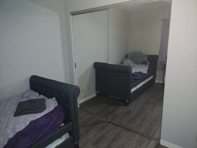 Shawn's room