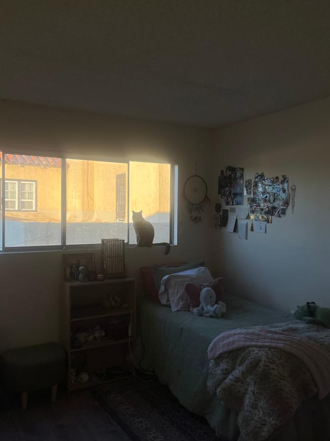 Priya's room