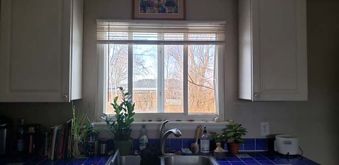 Ren's room