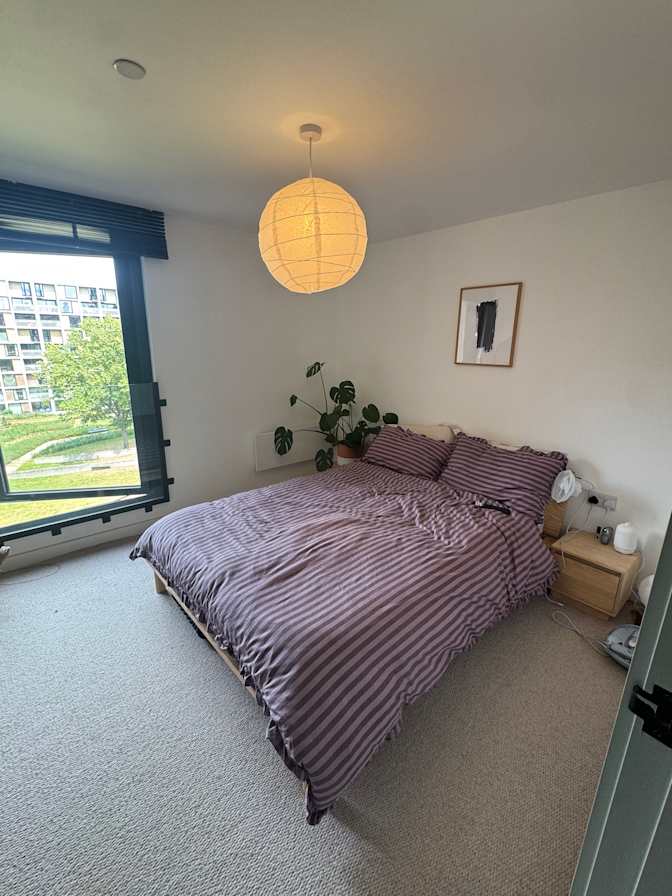Amy's room