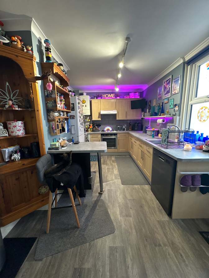 Judi's room