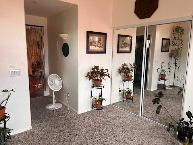 Andréa's room