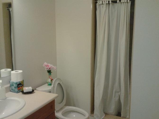 Shaheen's room