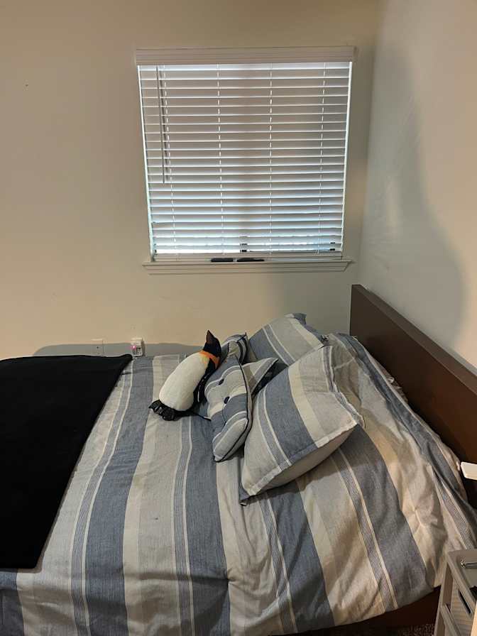 Andrea's room