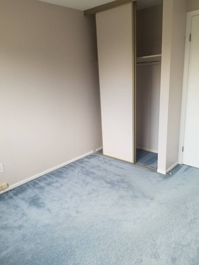 Abi's room