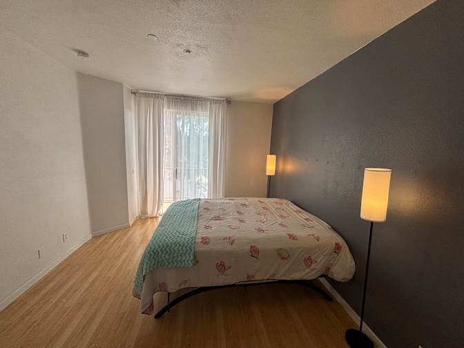 Shahla's room