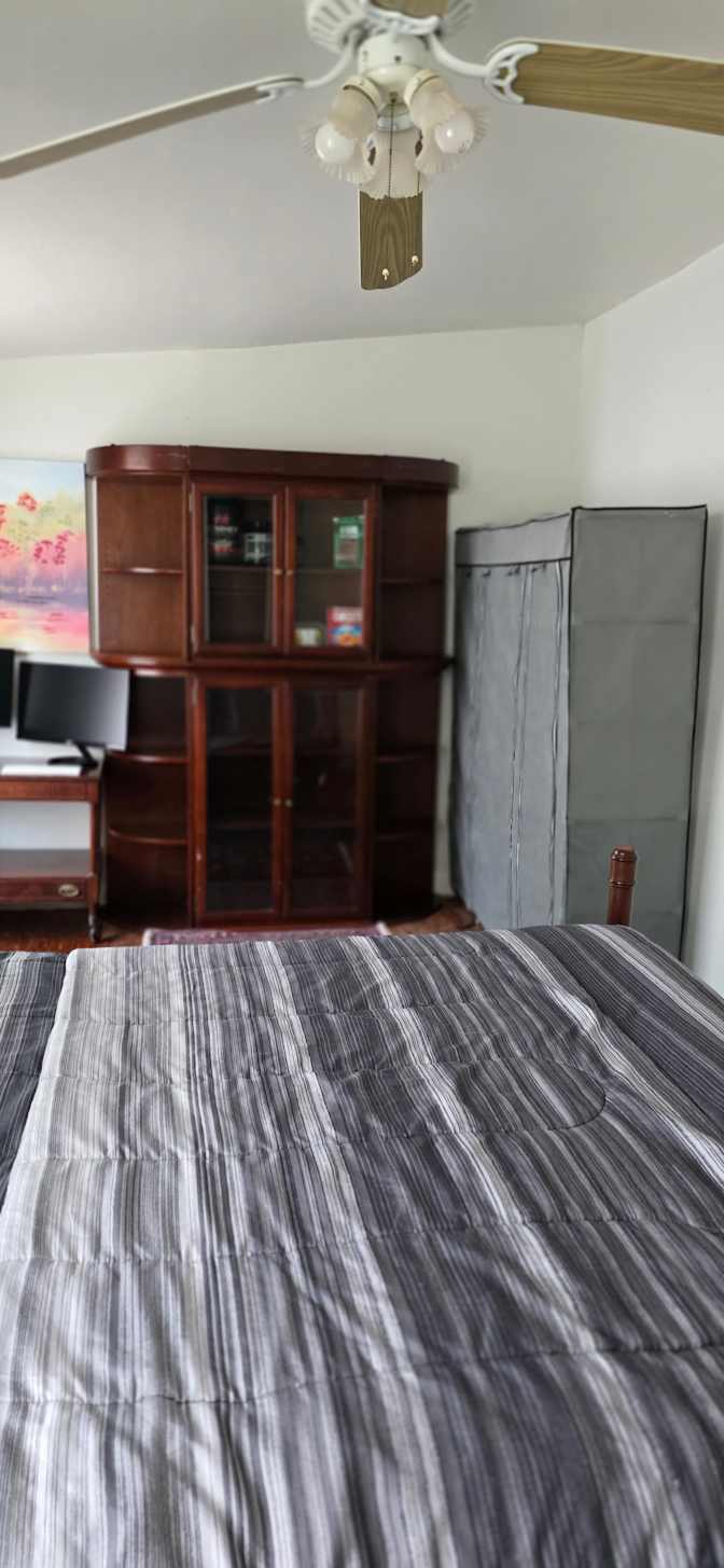 Mohammad's room