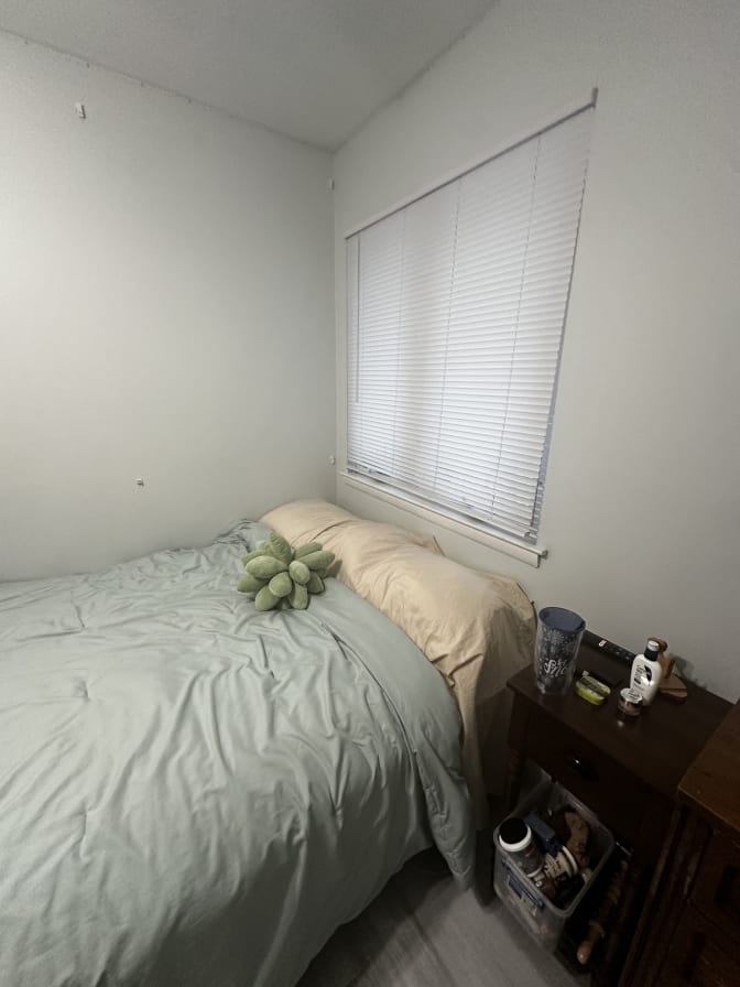 Bielka's room