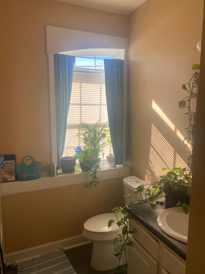 Norm's room