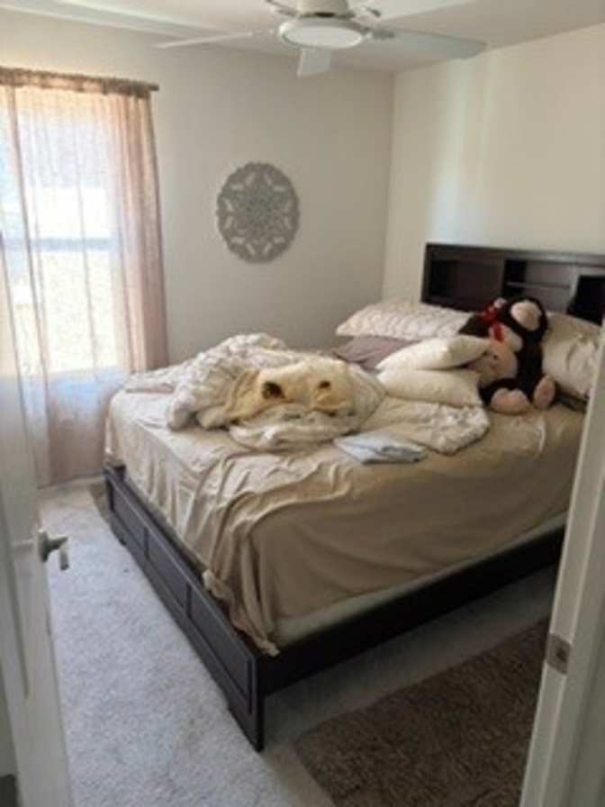 anthony williams's room