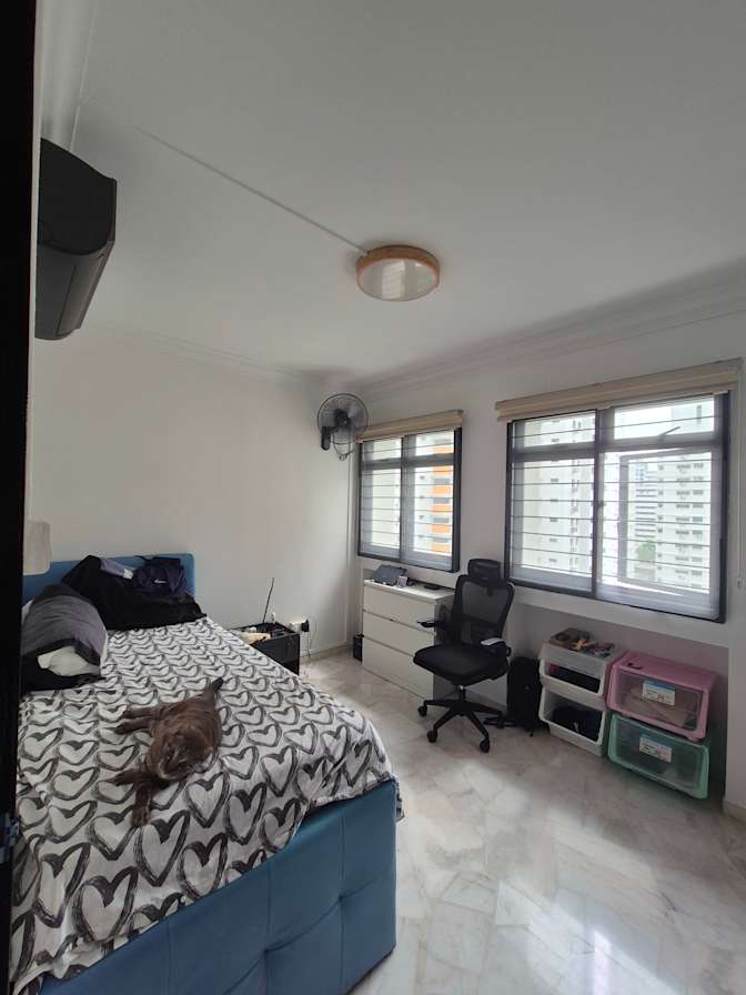 Z's room