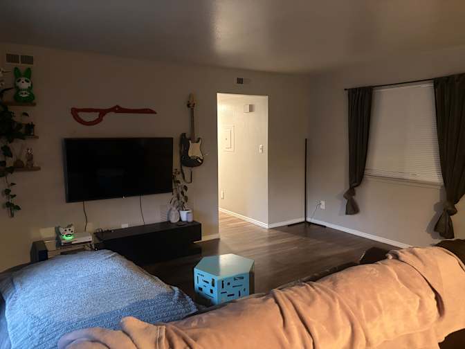 Sophie love's room