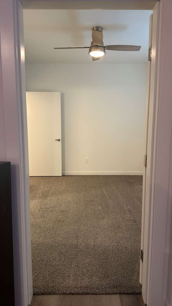 David's room