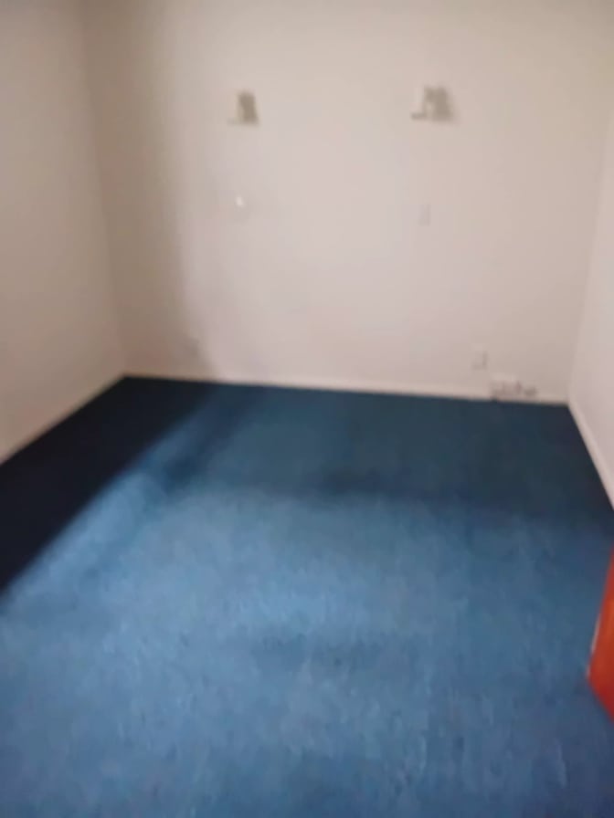 Fiona's room