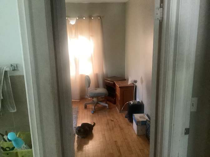 Matt's room
