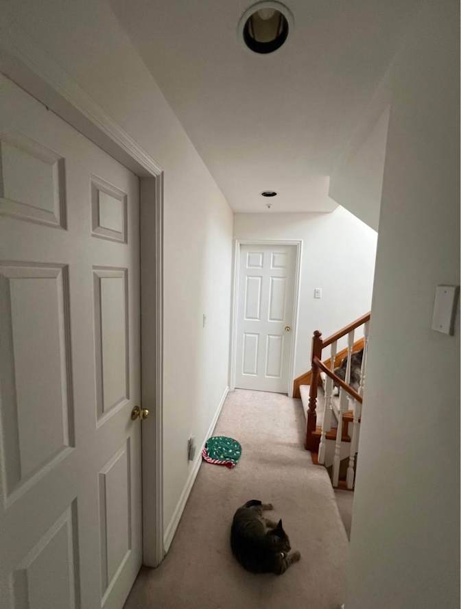 Joey's room