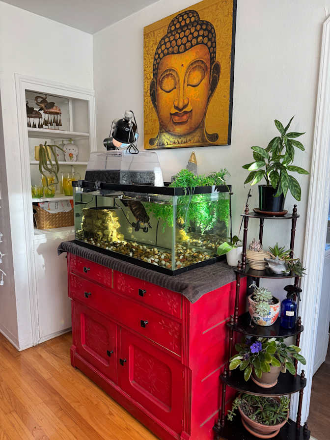 Abby's room