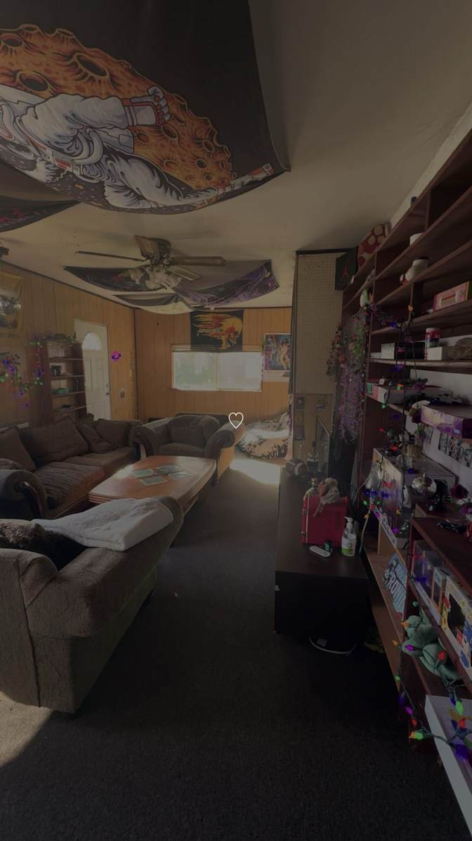 Elena Oltyan's room