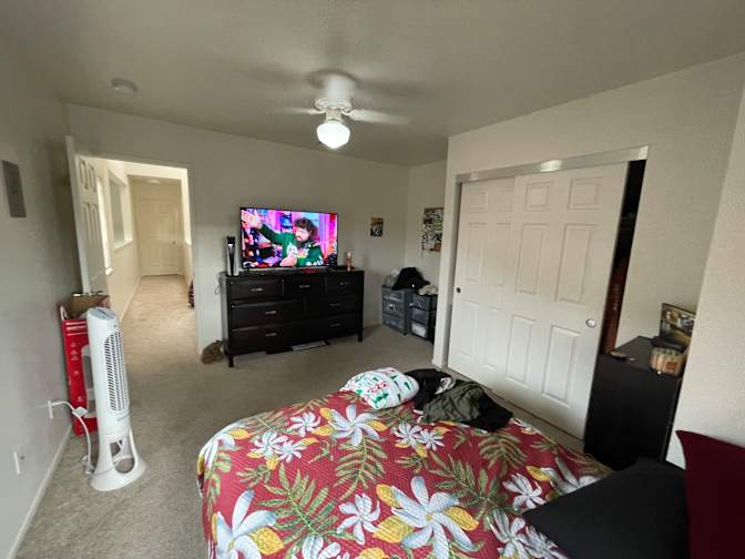 Moni's room