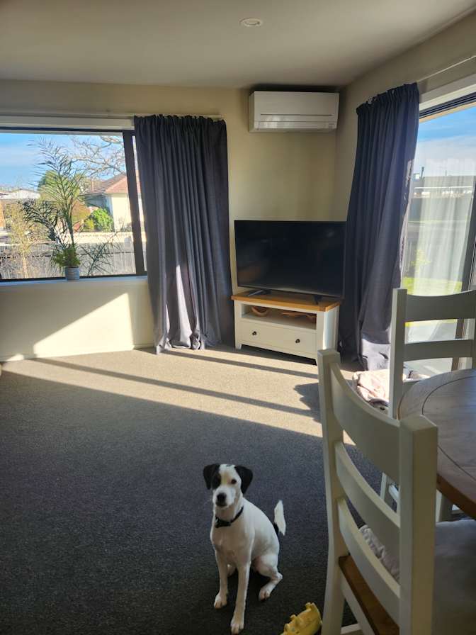 Diana's room