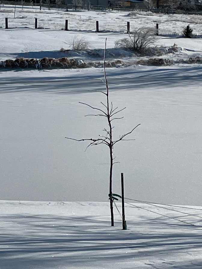 ea galvin's room