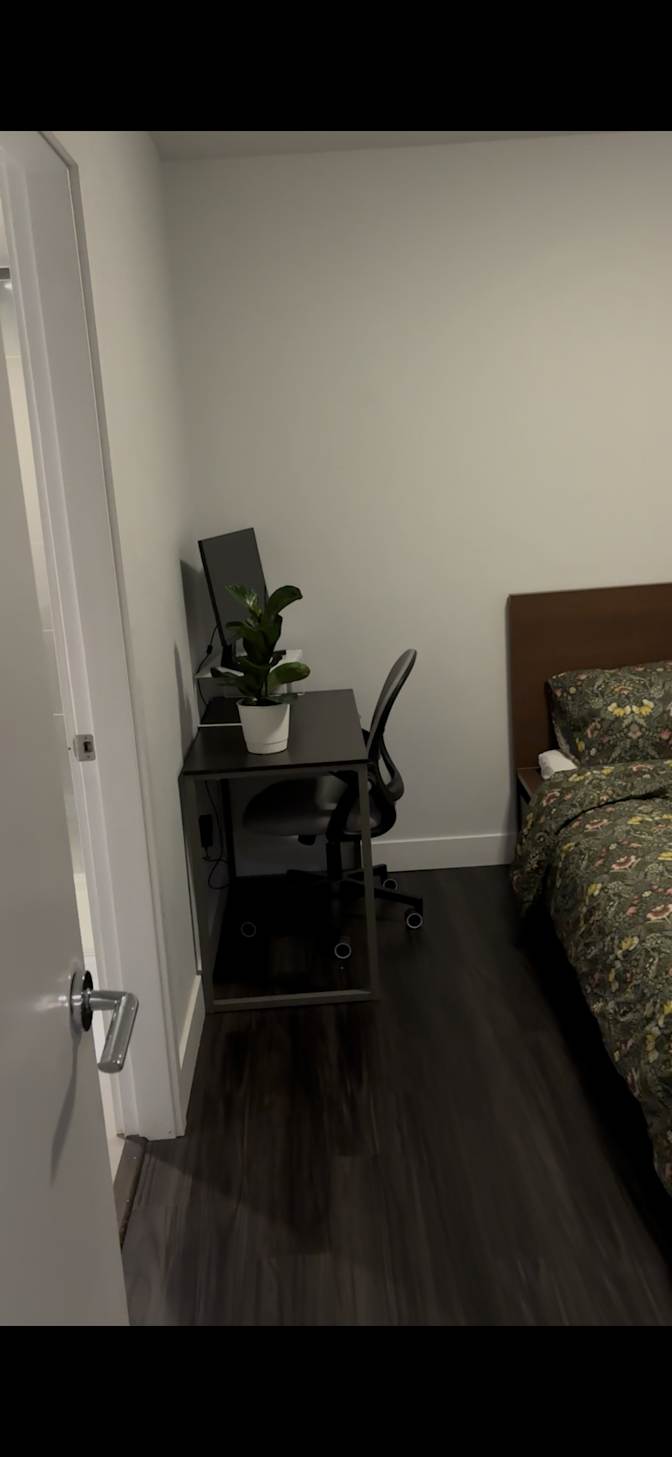Zuhair's room