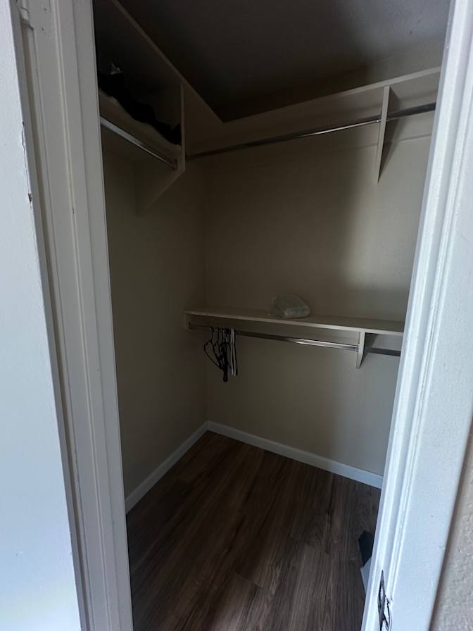 Sophia's room