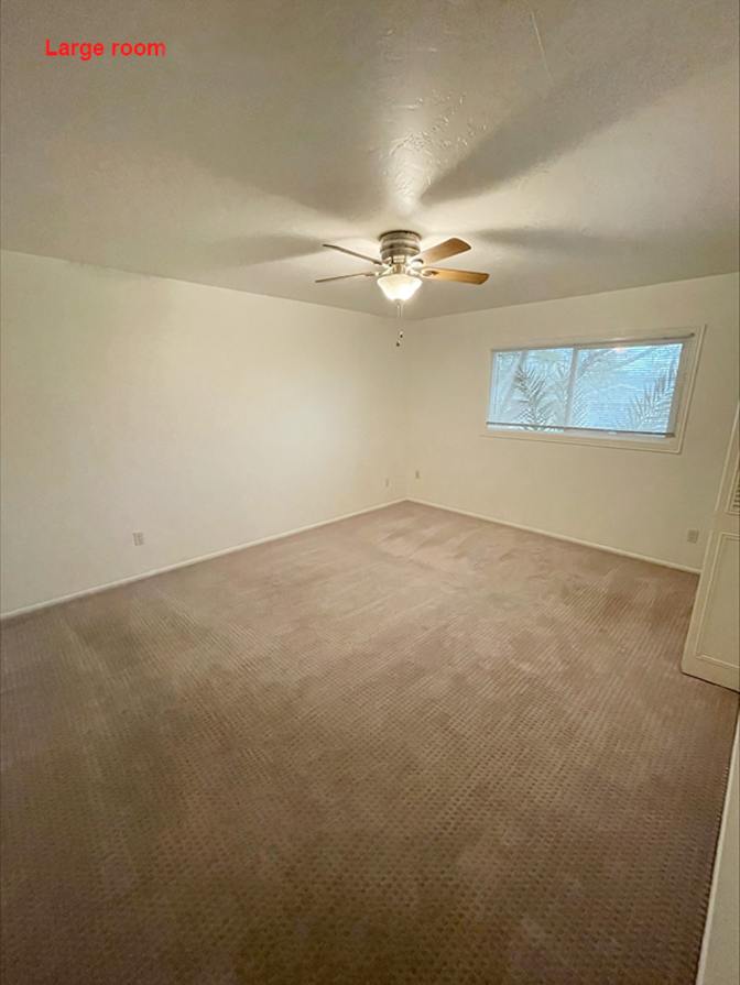 Spencer's room
