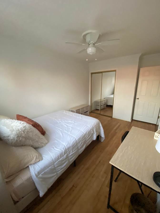 Haelly's room