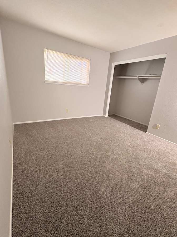 Amy's room