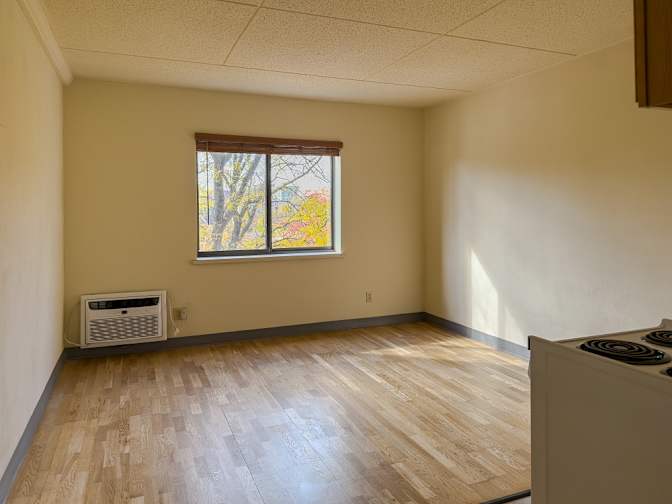 Jane's room