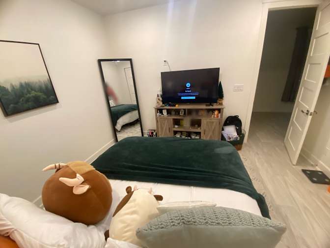 niloufar's room