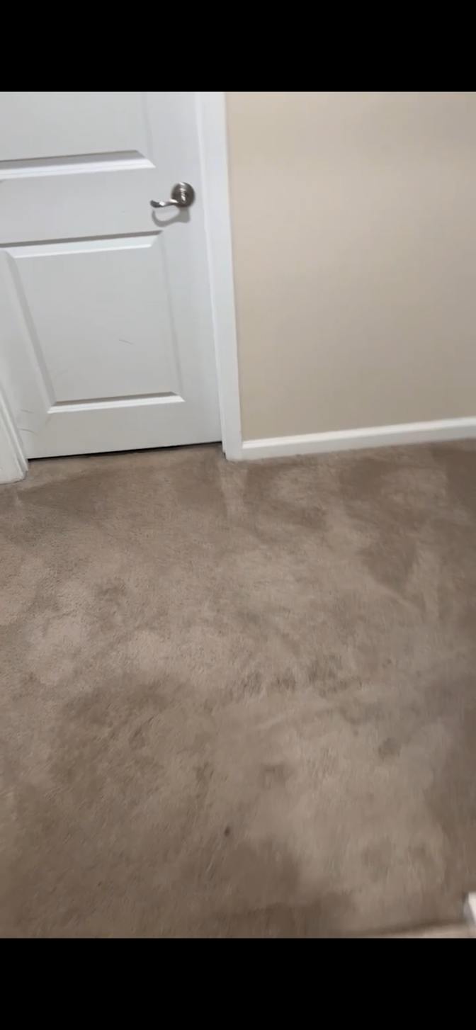 Brié's room