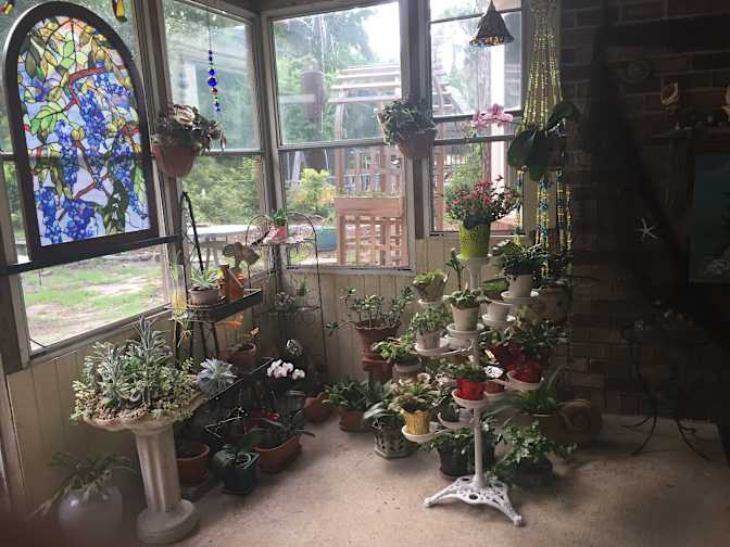 Wanda's room