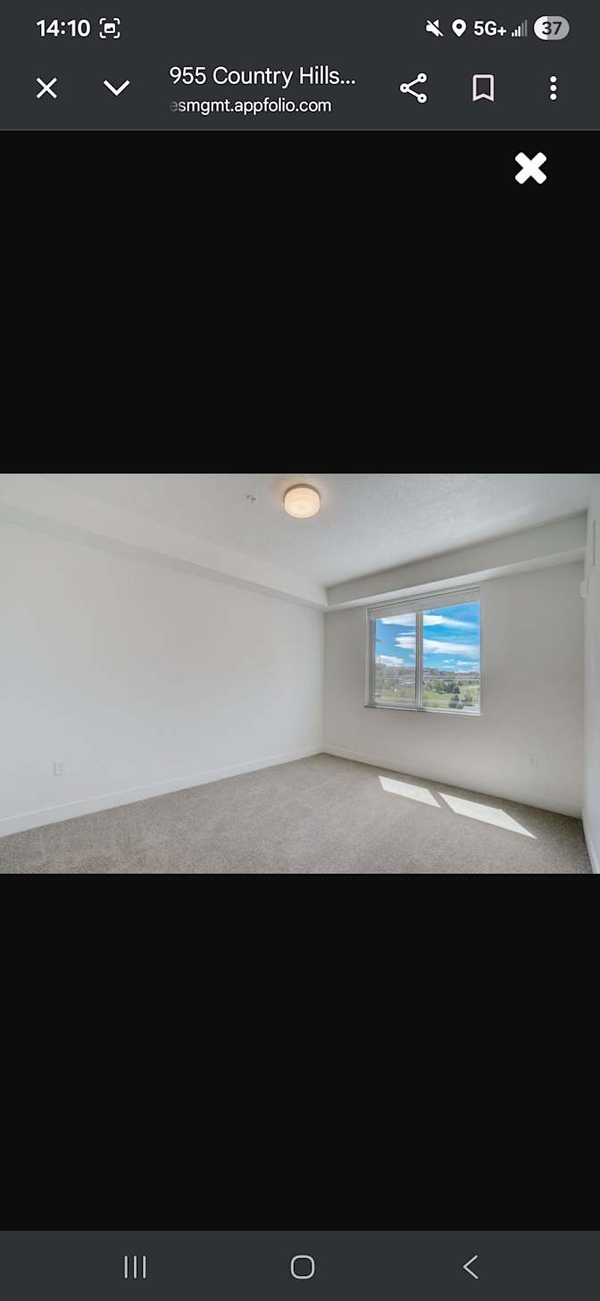 Dylan's room