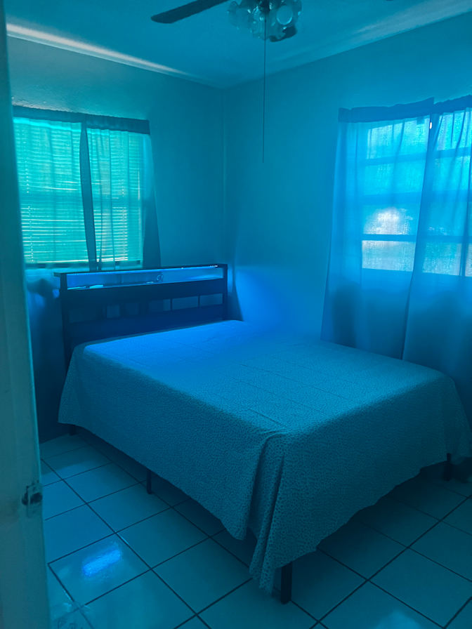 adonys's room