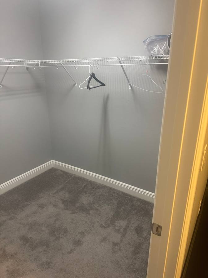 Shawn's room