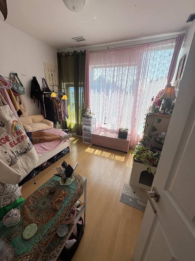 rashin's room